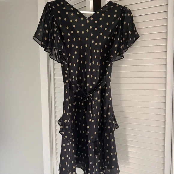 Rixo Mini Dress - Picture 5 of 6